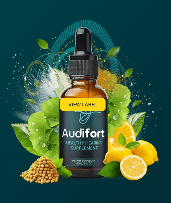 audifort-official-website
